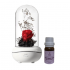 Uzen Essentials Sweet-Sweet Dreams with Everlastingl Flower Humidifier 